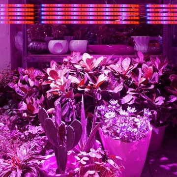 Grow light led strip - Rood/Blauw - 4:1 - 1 meter