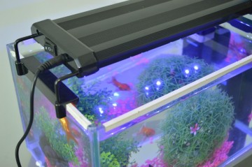 Aquarium bak LED 50cm [45-55cm] 11W 2-standen blauw / wit