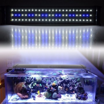 Aquarium bak LED 72cm [60-80cm] 18W 2-standen blauw / wit