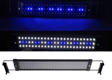 Aquarium bak LED 50cm [45-55cm] 11W 2-standen blauw / wit
