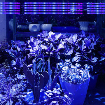 Grow light - Wit/blauw - 12V - 2:1 - 50cm - Waterproof