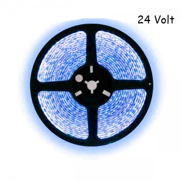 5 meter blauw led strip - 60Leds/m - 24V