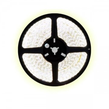 5 meter CCT (Dual white) led strip DUAL LED - 120Leds/m - 12V