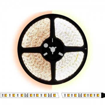 5 meter CCT (Dual white) led strip DUAL LED - 120Leds/m - 12V