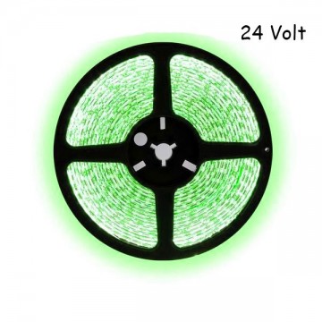 5 meter groen led strip - 60Leds/m - 24V
