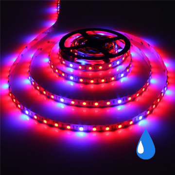 Grow light led strip - Rood/Blauw - IP65 - 4:1 - 1 meter
