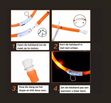 Halsband inkorten 2