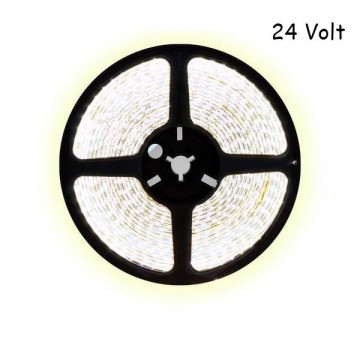 5 meter koud wit led strip - 120Leds/m - 24V - 3528