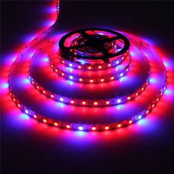 Grow light led strip - Rood/Blauw - 4:1 - 5 meter