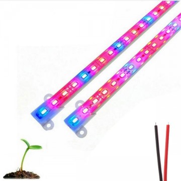Grow light - Rood/Blauw - 4:1 - 50cm - Waterproof