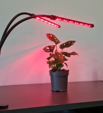 LED grow light - 2 voudig - Rood/blauw/paars - Met controller en timer
