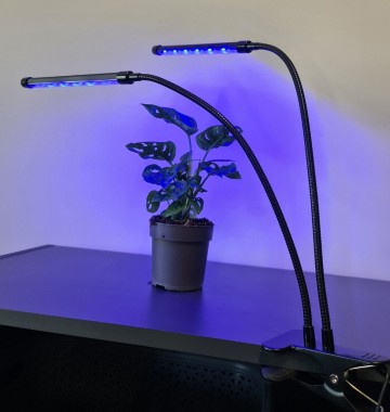 LED grow light - 2 voudig - Rood/blauw/paars - Met controller en timer