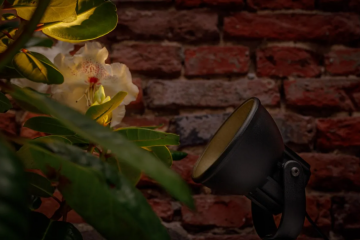 Screen shot 10 28 25 at 1107 am 0011