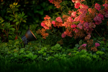 Screen shot 10 28 25 at 1108 am1