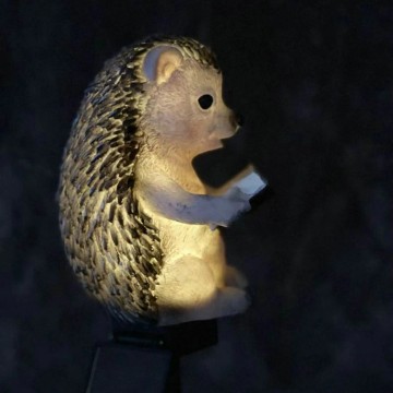 Solar LED egel - Neutraal wit - Met schemersensor en prikpen